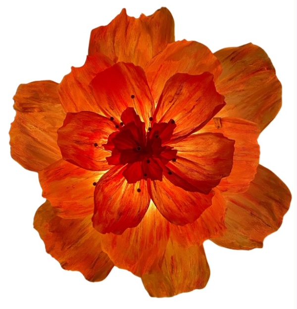 "Lumi Flower" Lentekriebels - Afbeelding 2