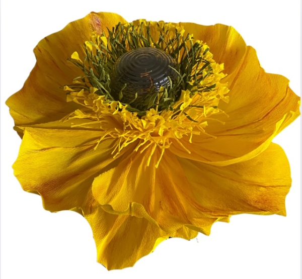 "Lumi Flower" Bloesembries