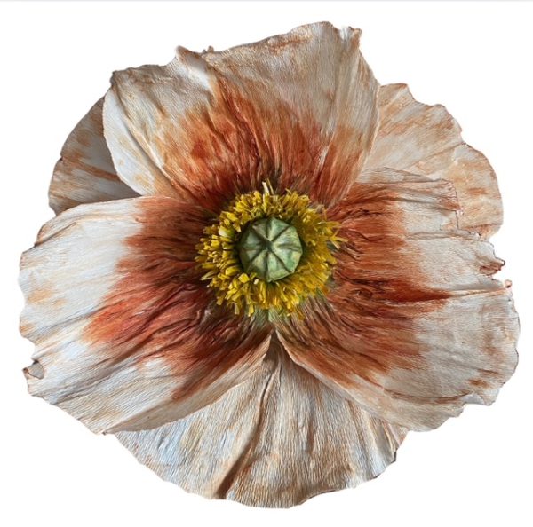 "Lumi Flower" Zonnegloed